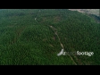 Forestry Aerial 5 AERIAL 3241